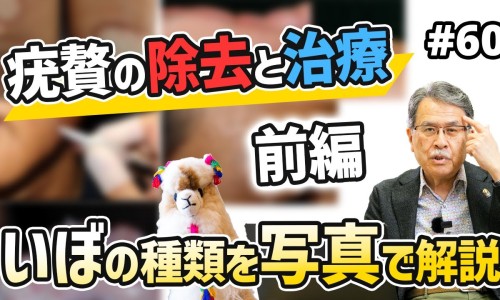 萝卜浸蜂蜜的功效与作用-萝卜浸蜂蜜能治咳嗽吗专区_萝卜加蜂蜜煮水喝的功效和作用专区_萝卜浸蜂蜜的功效网